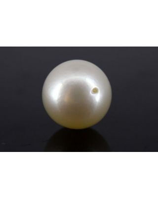 5.28/CT Natural South Sea Pearl with Govt. Lab Certificate-1550    