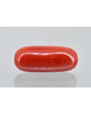 6.17/Carat Natural Cylindrical Red Coral (1200)           
