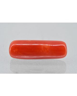 7.64/Carat Natural Cylindrical Red Coral (1500)           