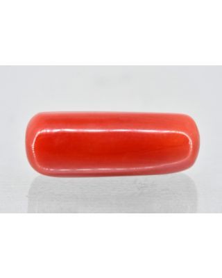 7.24/Carat Natural Cylindrical Red Coral (1500)            