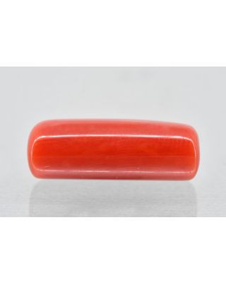 8.08/Carat Natural Cylindrical Red Coral (1500)            
