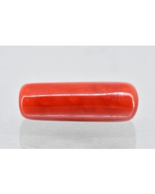 8.79/Carat Natural Cylindrical Red Coral (1800)            