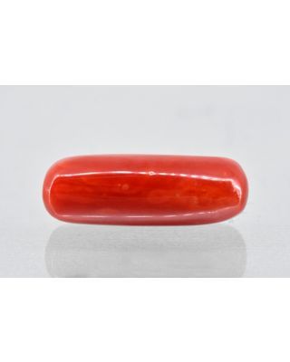 8.64/Carat Natural Cylindrical Red Coral (1800)            