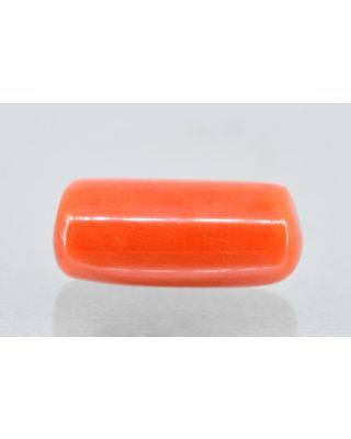 9.59/Carat Natural Cylindrical Red Coral (1800)            