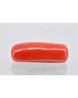 8.78/Carat Natural Cylindrical Red Coral (1800)            