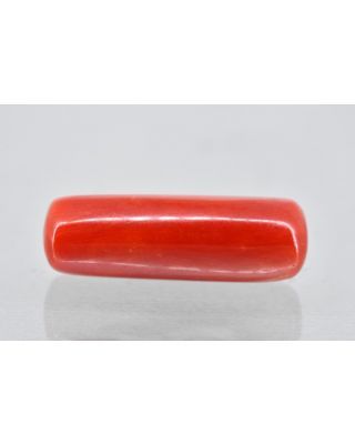 7.87/Carat Natural Cylindrical Red Coral (1500)            