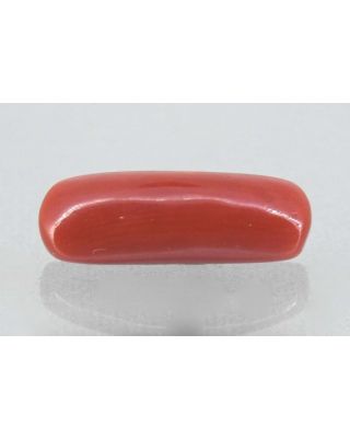 6.47/Carat Natural Cylindrical Red Coral (1800)                 