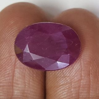 8.71 Ratti Natural Neo Burma Ruby with Govt Lab Certificate-(3441)