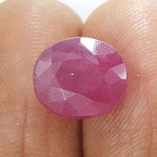 7.29 Ratti Natural Mozambique Ruby with Govt. Lab Certificate-(7881)
