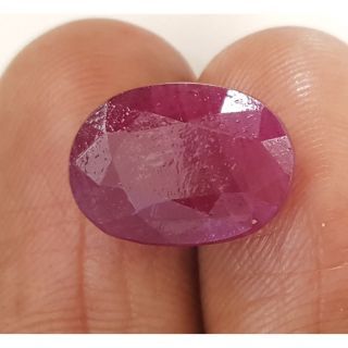 9.32 Ratti Natural Indian Ruby with Govt. Lab Certificate-(1221)