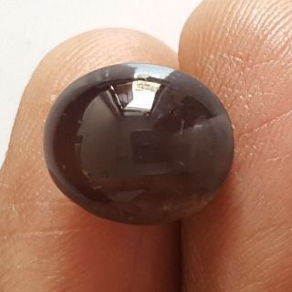 8.28 Ratti Natural Scapolite Cat's Eye with Govt. Lab Certified-(1221)
