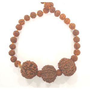 Seven Mukhi Rudraksha Bracelet