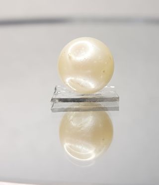 10.60 Carat Natural South Sea Pearl With Lab Certificate-700