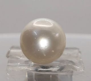 6.10 Ratti Natural South Sea Pearl With Lab Certificate-1332