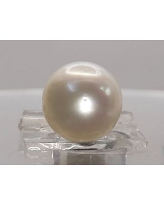 7.60 Ratti Natural South Sea Pearl With Lab Certificate-1332