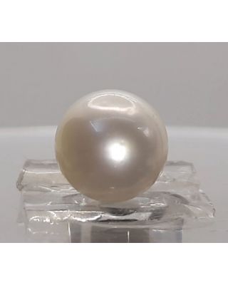 6.16 Ratti Natural South Sea Pearl With Lab Certificate-1332