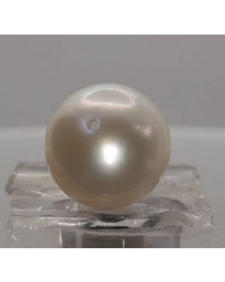 7.10 Ratti Natural South Sea Pearl With Lab Certificate-1332