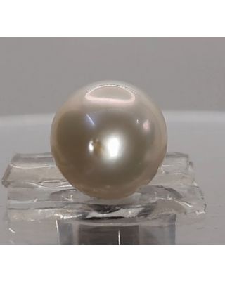 6.10 Ratti Natural South Sea Pearl With Lab Certificate-1332 