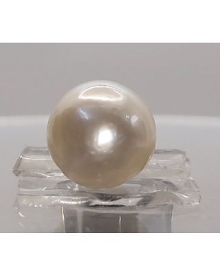 6.16 Ratti Natural South Sea Pearl With Lab Certificate-1332 