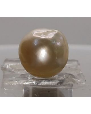 6.57 Ratti Natural South Sea Pearl With Lab Certificate-1332   