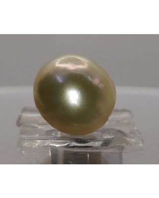 7.82 Ratti Natural South Sea Pearl With Lab Certificate-1332  