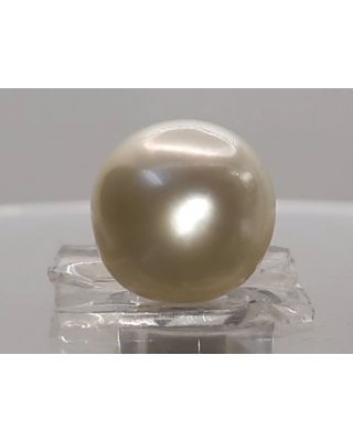 10.76 Ratti Natural South Sea Pearl With Lab Certificate-1332 
