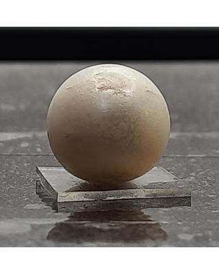 11.71 Ratti Natural South Sea Pearl With Lab Certificate-700           