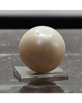 14.43 Ratti Natural South Sea Pearl With Lab Certificate-700           