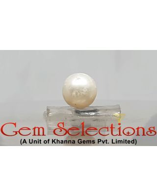 3.66 Ratti Natural South Sea Pearl With Lab Certificate-700         