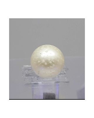 11.15 Ratti Natural South Sea Pearl With Lab Certificate-700       