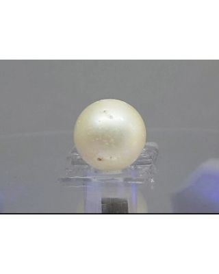 13.54 Ratti Natural South Sea Pearl With Lab Certificate-700       