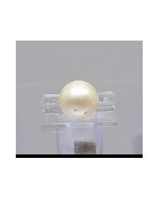 3.27 Ratti Natural South Sea Pearl With Lab Certificate-700       