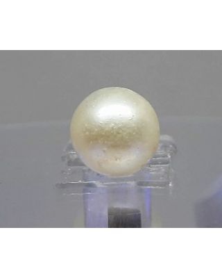 12.09 Ratti Natural South Sea Pearl With Lab Certificate-700       