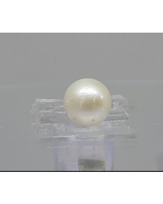 2.99 Ratti Natural South Sea Pearl With Lab Certificate-700       