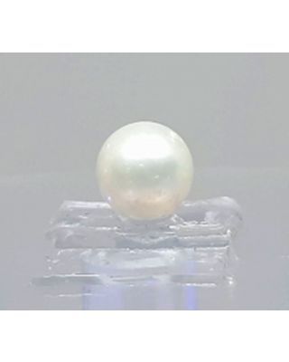 3.50/CT Natural South Sea Pearl with Lab Certificate-700       