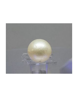 13.43 Ratti Natural South Sea Pearl With Lab Certificate-700       