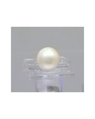 3.71 Ratti Natural South Sea Pearl With Lab Certificate-700       