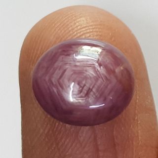 5.49 Natural Star Ruby With Govt.Lab Certificate-(1221)