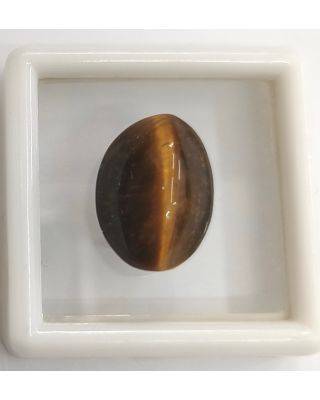 8.95/CT NATURAL TIGER CAT'S EYE-(450)           