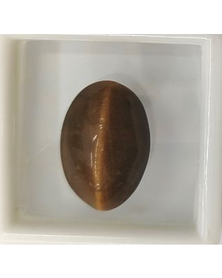 9.25/CT NATURAL TIGER CAT'S EYE-(450)           