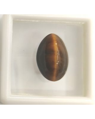 8.00/CT NATURAL TIGER CAT'S EYE-(450)           