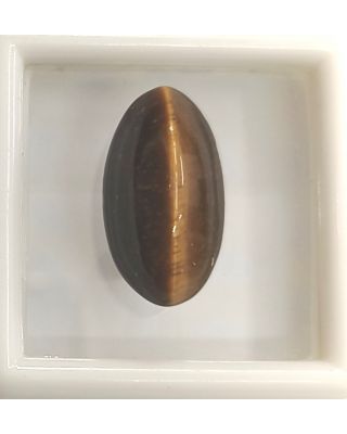 9.30/CT NATURAL TIGER CAT'S EYE-(450)           