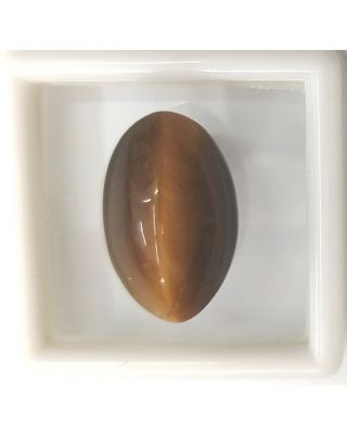 13.70/CT NATURAL TIGER CAT'S EYE-(450)           