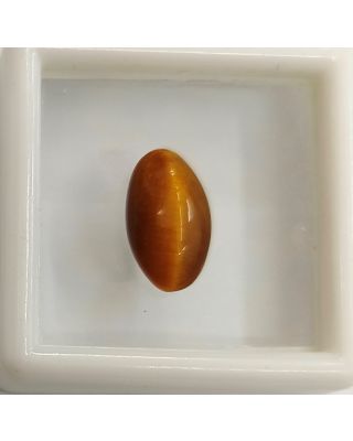 2.40/CT NATURAL TIGER CAT'S EYE-(450)           