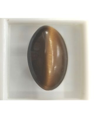 14.45/CT NATURAL TIGER CAT'S EYE-(450)           