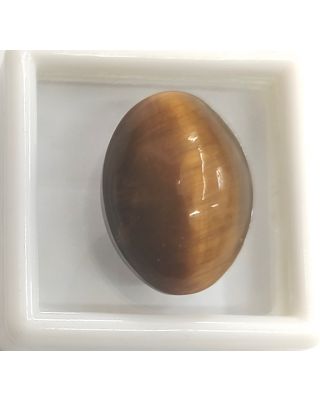 18.10/CT NATURAL TIGER CAT'S EYE-(450)           