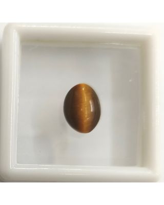 2.10/CT NATURAL TIGER CAT'S EYE-(450)           