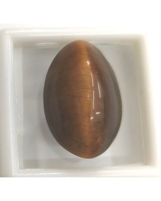 19.75/CT NATURAL TIGER CAT'S EYE-(450)          