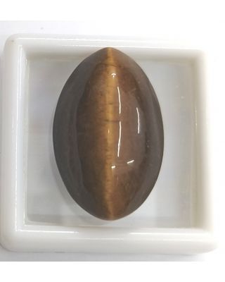 21.95/CT NATURAL TIGER CAT'S EYE-(450)          