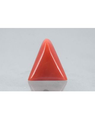 7.15/CT Natural Triangular Red Coral-1800        